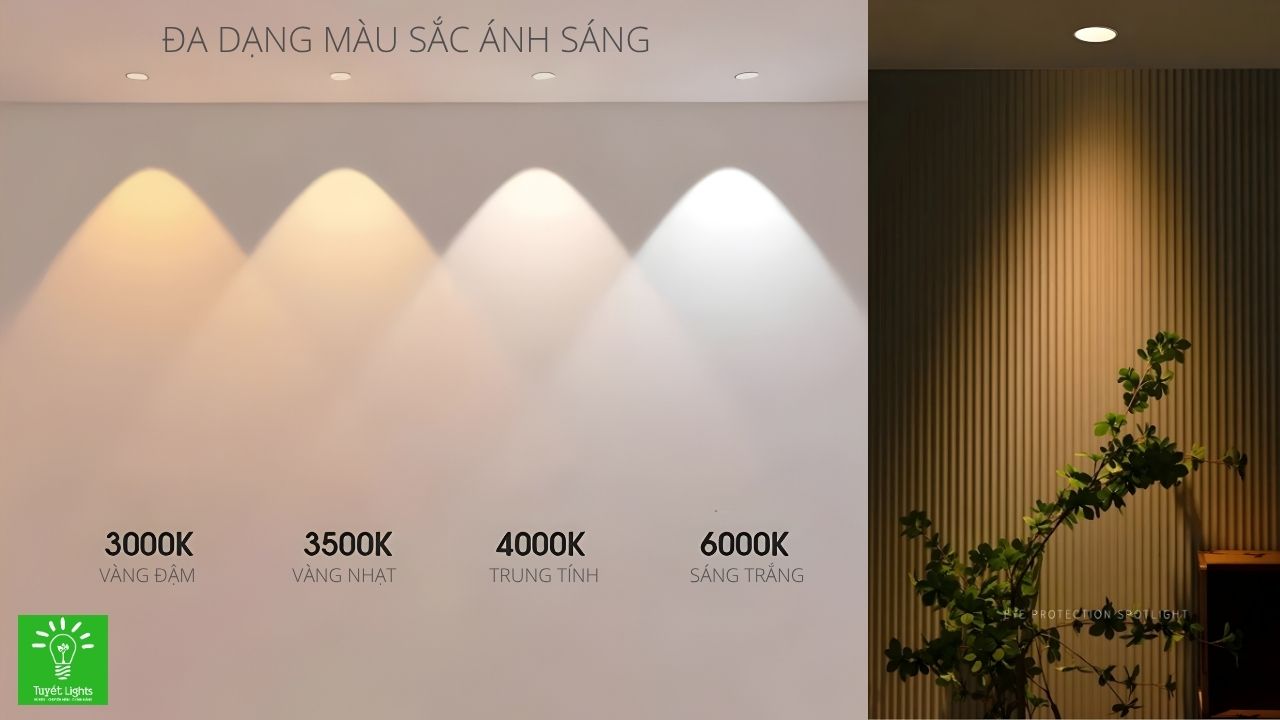 Đa dạng màu sắc ánh sáng
